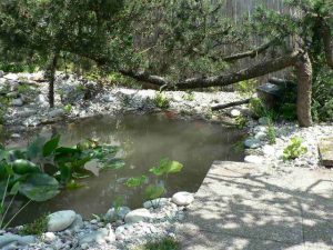 Strauchliebe Naturgärten & Gartenpflege Erlangen Höchstadt
