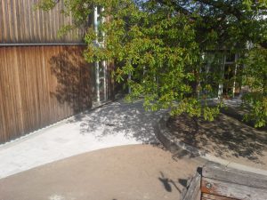 Strauchliebe Naturgärten & Gartenpflege Erlangen Höchstadt