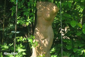 Landschaftsgärtner Arnd Käding Erlangen Höchstadt Mehrgenerationen-Garten