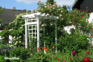 Landschaftsgärtner Arnd Käding Erlangen Höchstadt Mehrgenerationen-Garten