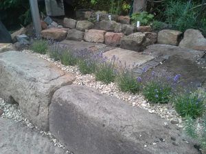 Strauchliebe Naturgärten & Gartenpflege Erlangen Höchstadt