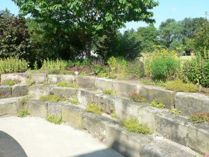 Strauchliebe Naturgärten & Gartenpflege Erlangen Höchstadt