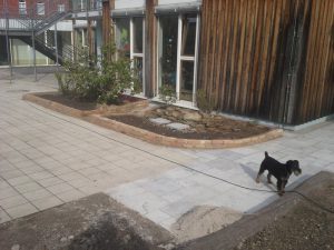 Strauchliebe Naturgärten & Gartenpflege Erlangen Höchstadt