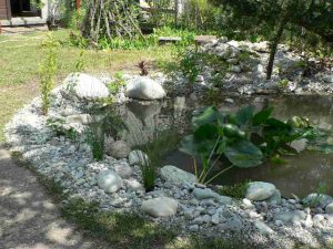 Strauchliebe Naturgärten & Gartenpflege Erlangen Höchstadt