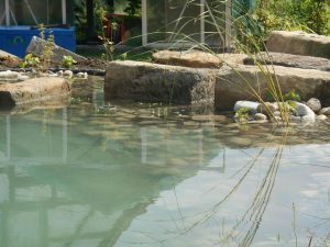 Strauchliebe Naturgärten & Gartenpflege Erlangen Höchstadt