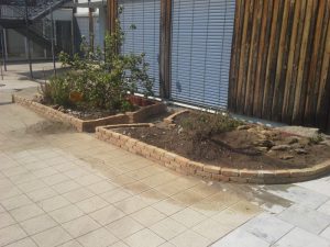 Strauchliebe Naturgärten & Gartenpflege Erlangen Höchstadt